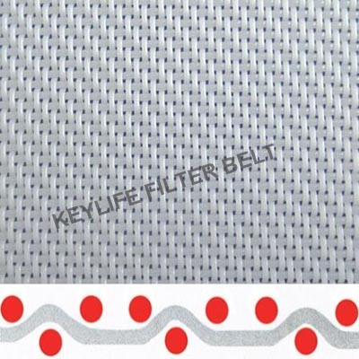 Dewatering Mesh Belts for Food and Mining Process