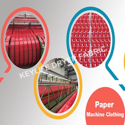 Dryer Fabric for Top and Bottom of Cultural Paper Machine