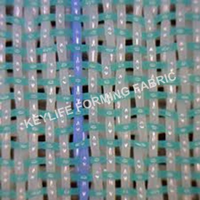 Forming Fabric for Tissue Making