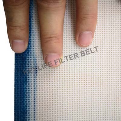 Plain Woven Polyester Mesh Belt