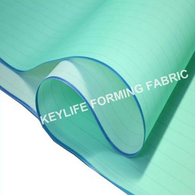 1.5 Layer Woven Fabric for Paper Sheet Forming and Conveying
