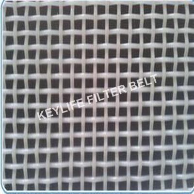 Solid and Liquid Separation Polyester Mesh Belt