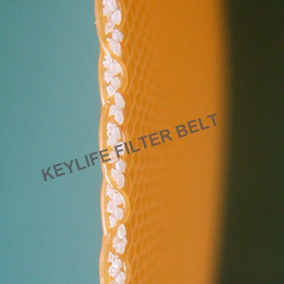 Vacuum Filter Belt in Phosphoric Acid Process
